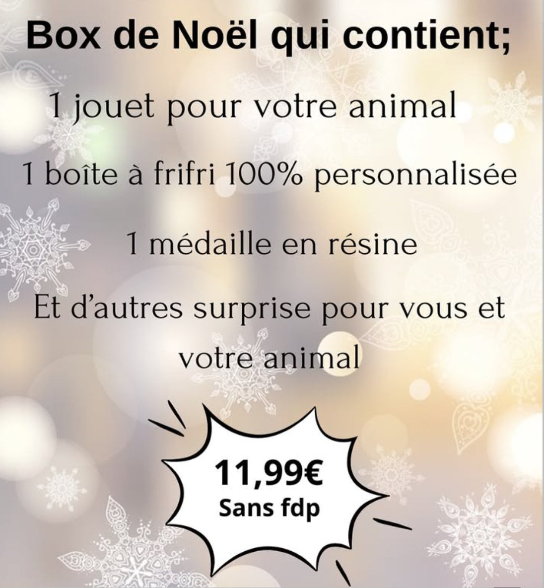 🎄Box de Noël 🎄