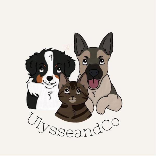 Ulysse&Co 