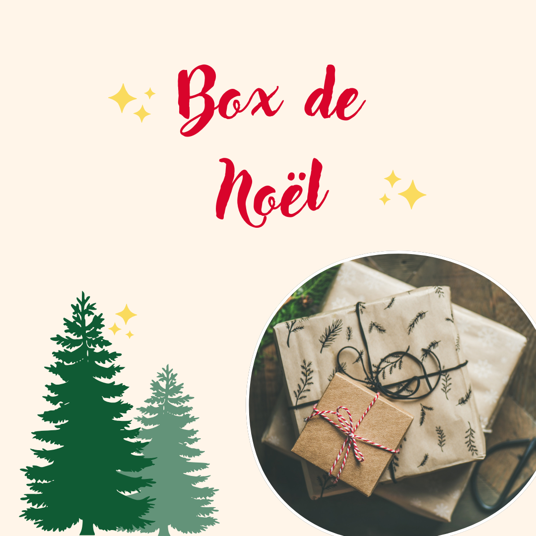 🎄Box de Noël 🎄